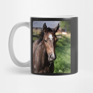 TB COLT Mug